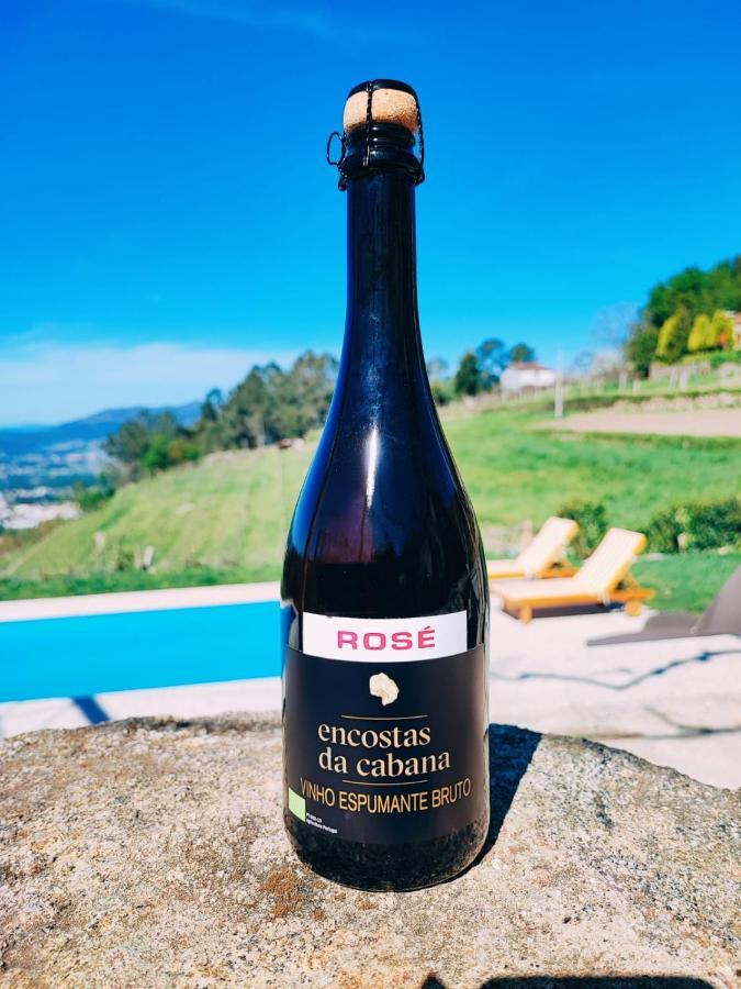 Melgaço Casa Cabreiros De Cimaヴィラ エクステリア 写真